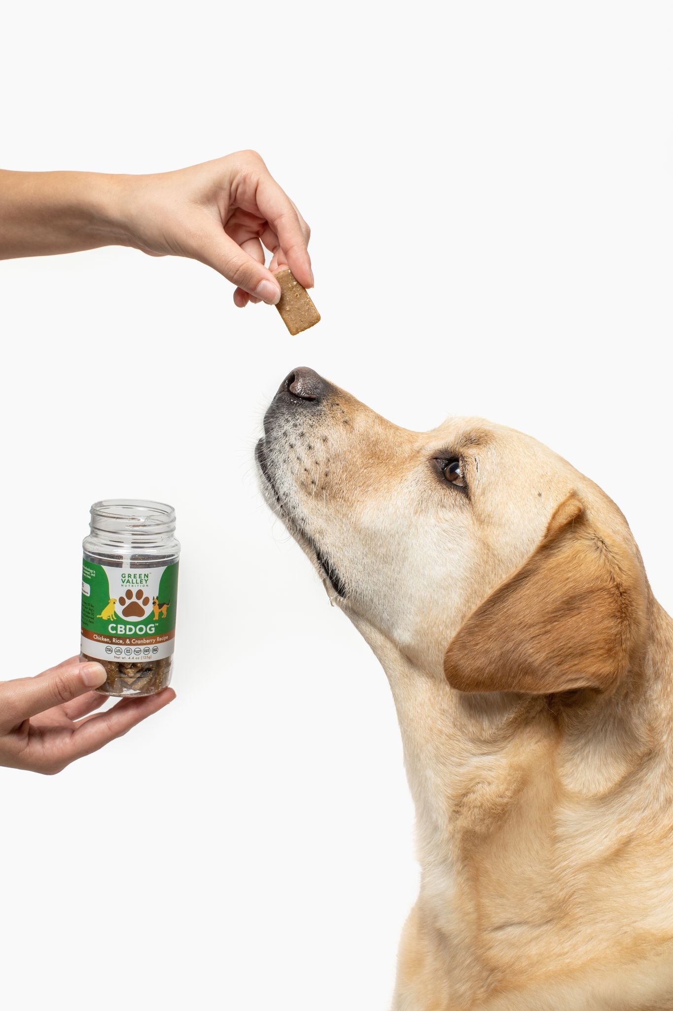 do cbd dog treat work